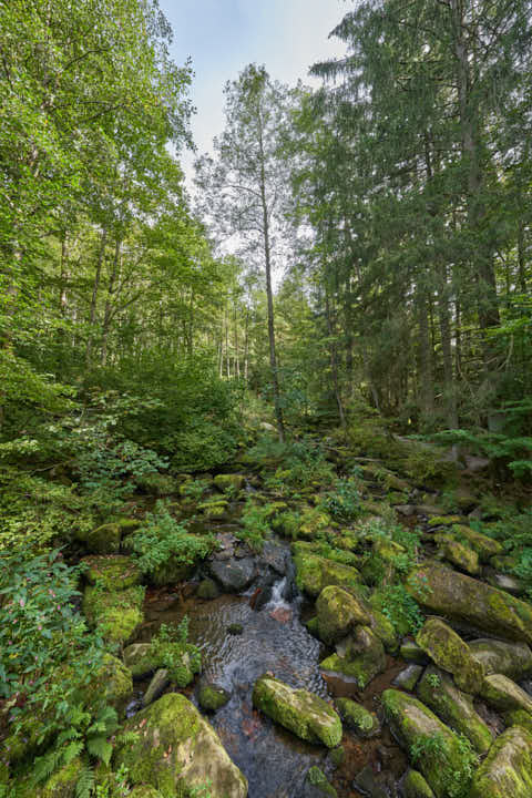 Gemeinde Waldkirchen Landkreis Freyung-Grafenau Saußbachklamm (Dirschl Johann) Deutschland FRG